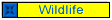 Wildlife